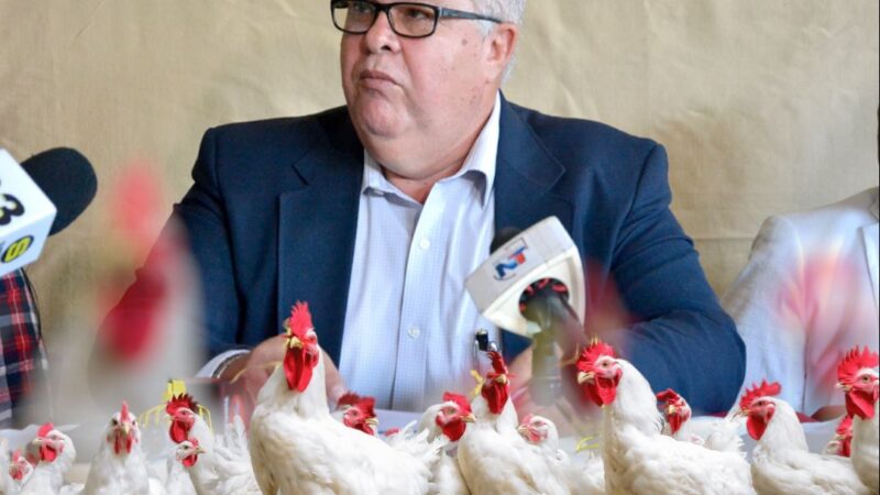 Crisis Especulativa en el Precio del Pollo en República Dominicana 