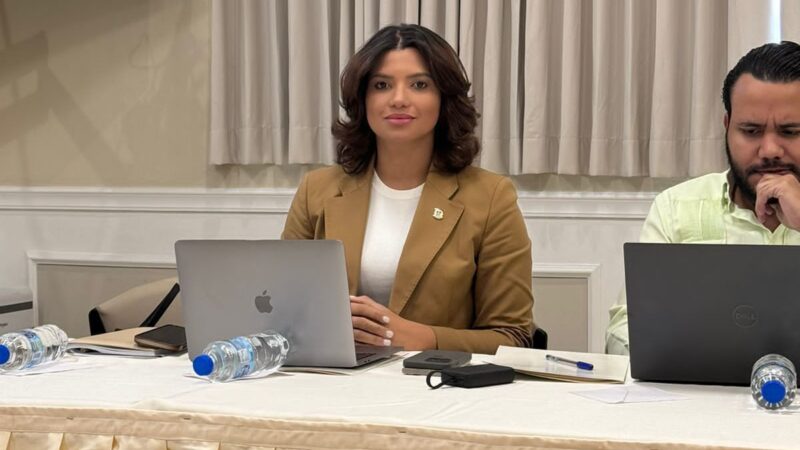 Kimberly Taveras pide que se incluya academia y la JCE en el debate para modificar la constitución. 