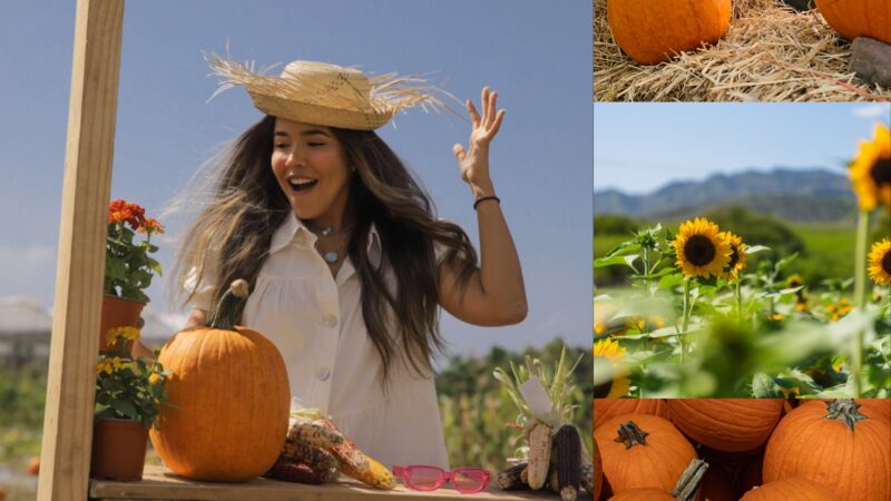 Tierra tropical regresa con temporada de otoño el “Pumpkin Patch”