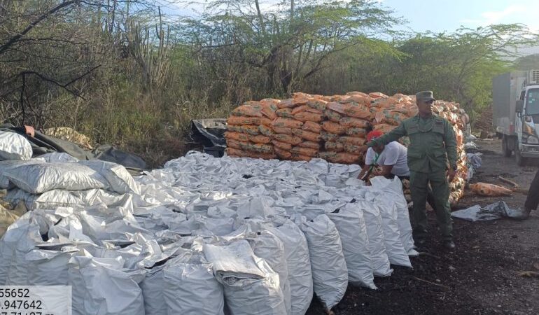 SENPA y Medio Ambiente incautan 1,200 sacos de carbón vegetal