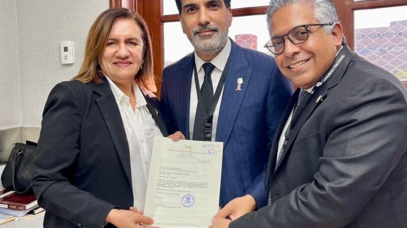 Diputado Juan José Rojas somete proyecto que respalda el plan de medidas migratorias del presidente Luis Abinader y el Consejo de Defensa y Seguridad Nacional. 