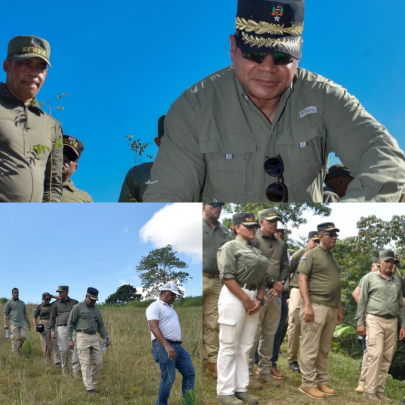 Con el lema SENPA siempre Verde» se inició importante jornada de Reforestación