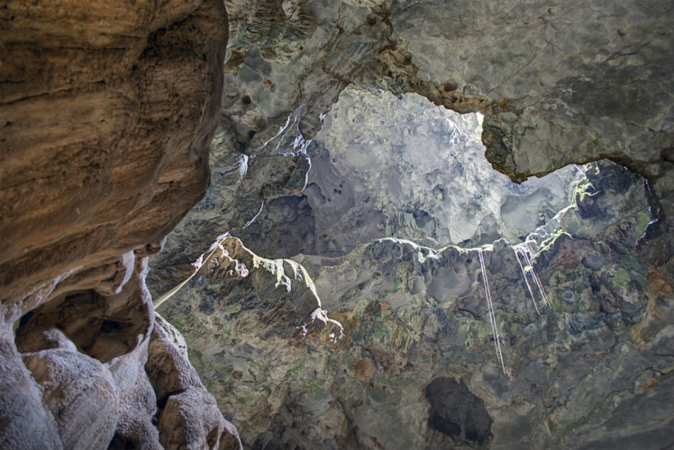Comisión Medio Ambiente de Academia de Ciencias respalda el cese de mineras en entorno de las Cuevas del Pomier