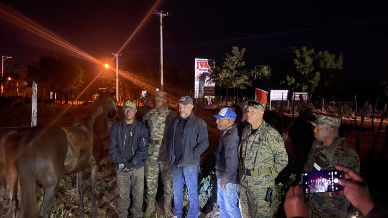 Ejército recupera ganado robado en hacienda de Dajabón