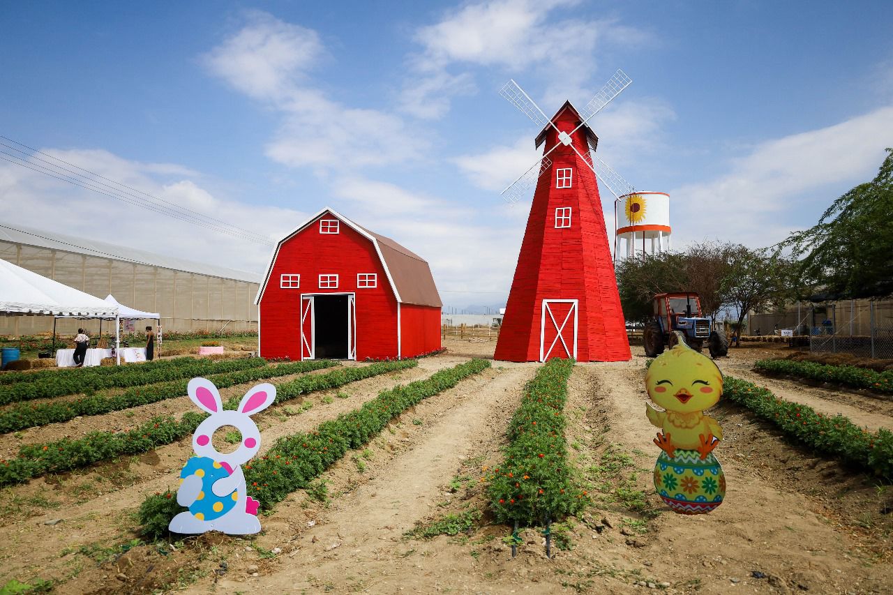 El Easter Egg Hunt 2025 llega a Tierra Tropical