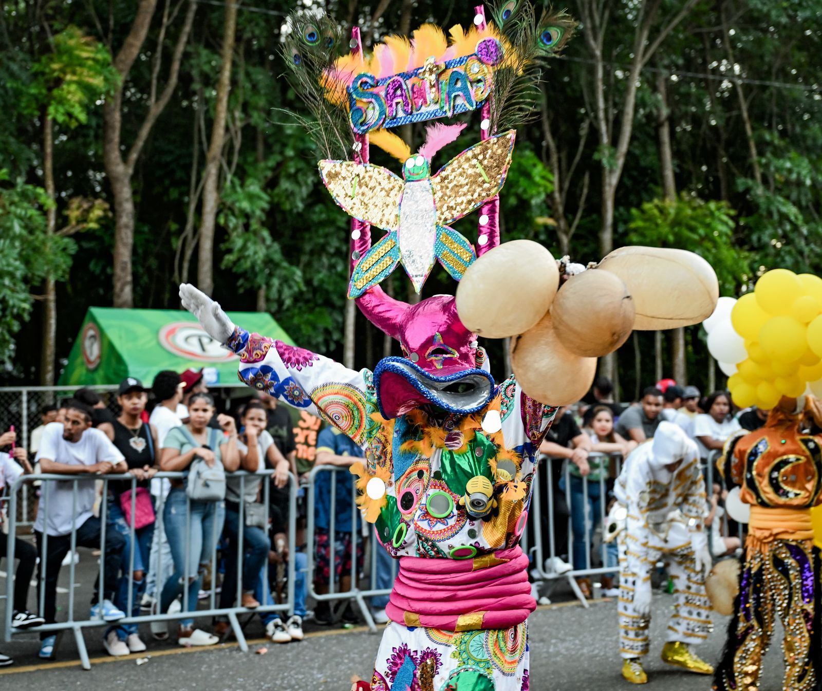 “Carnaval de Santiago: Un segundo domingo exitoso que une a toda la familia”