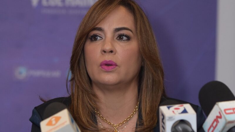 Declaraciones de la presidenta de la Copardom, Laura Peña Izquierdo, el lunes 24 de febrero, en la reunión del comité nacional de salarios