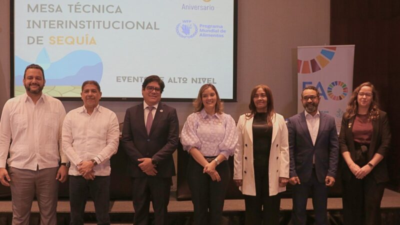 Gobierno y organismos internacionales crean Mesa Técnica Interinstitucional de Sequía