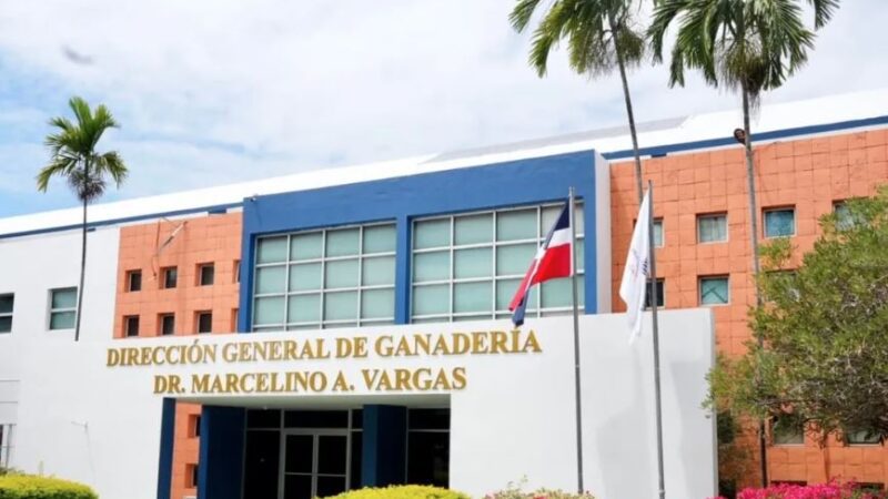 Ganadería recuerda no se puede movilizar cerdos sin certificación para frenar la PPA