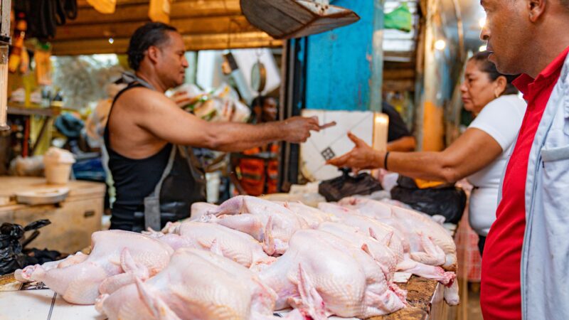 ADA informa liberan dos millones de libras de pollo para estabilizar mercado y garantizar abastecimiento