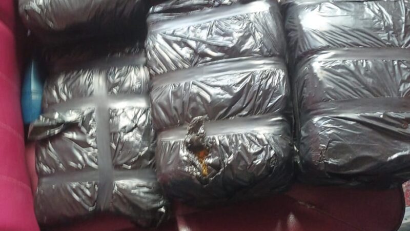 Decomisan ocho pacas de presunta marihuana en operativo conjunto en Azua