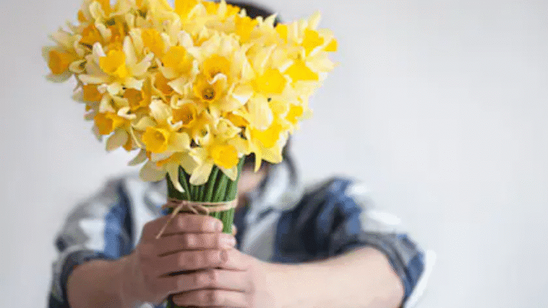 ¿Por qué se regalan flores amarillas el 21 de septiembre?