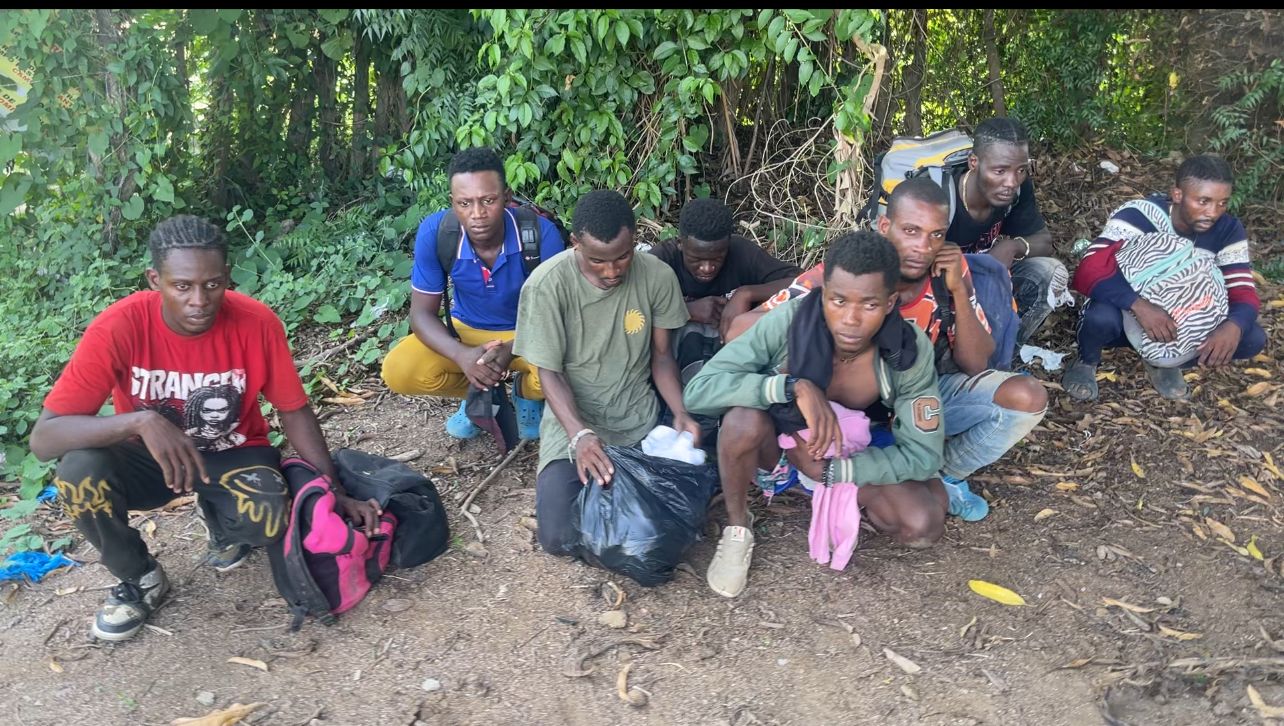 Ejército detiene a ocho nacionales haitianos que se escondian en un platanal en Valverde