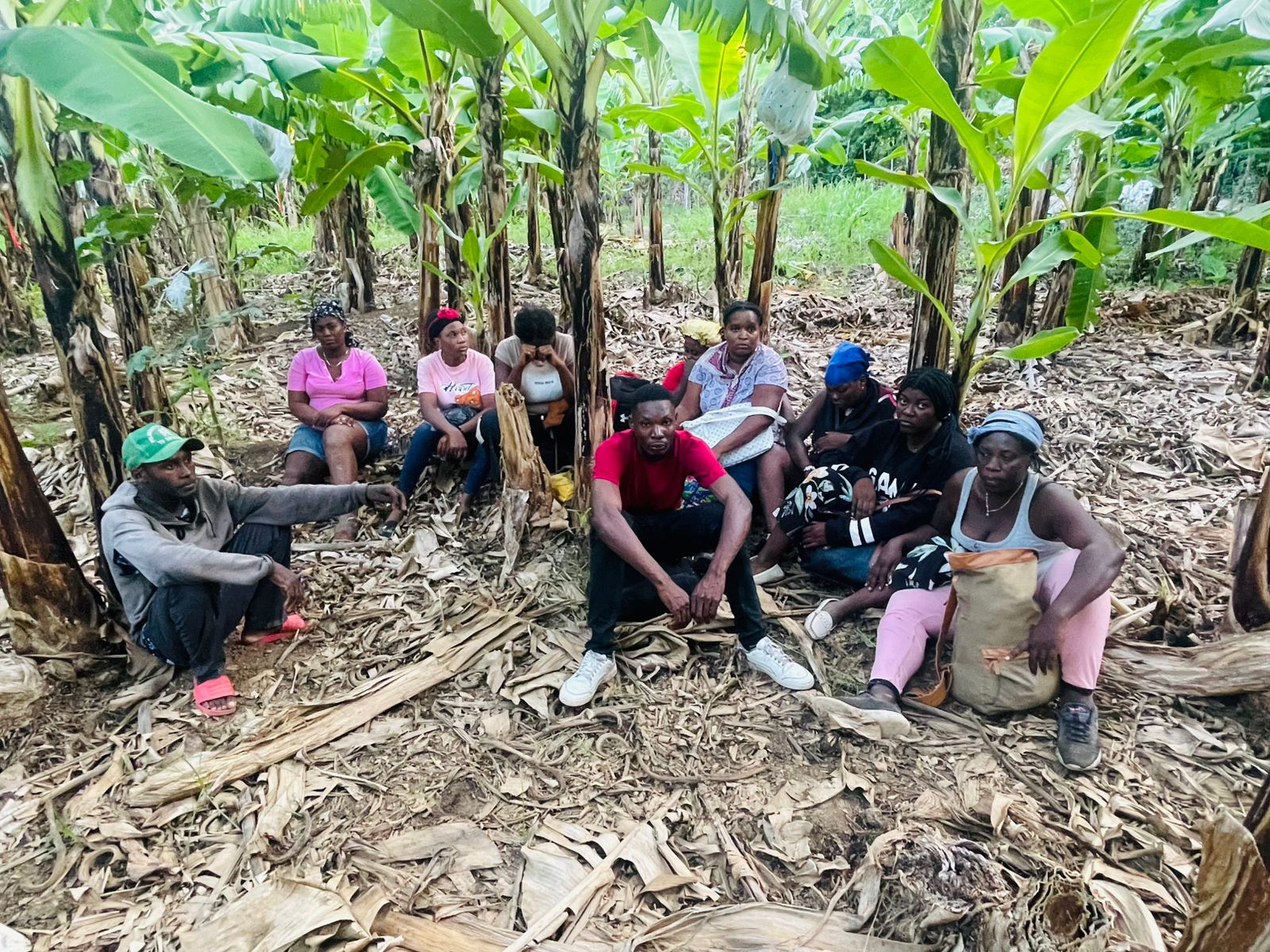 Ejército detecta con drones haitianos indocumentados que se ocultaban en una finca de bananos en Valverde