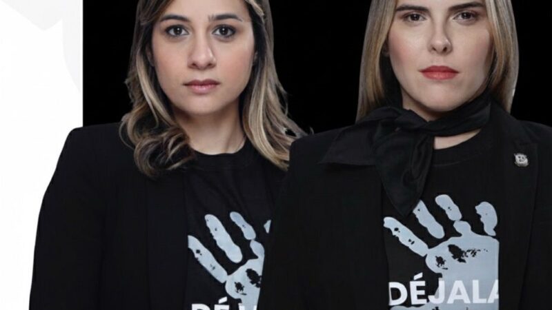 Diputadas proponen creación de un registro unificado para prevenir la violencia y reforzar el control de armas