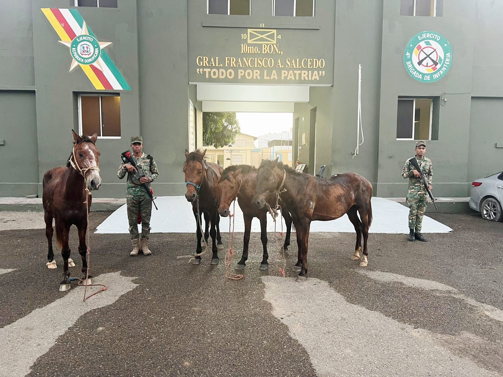 Ejército frustra robo de animales y recupera caballos en Dajabón
