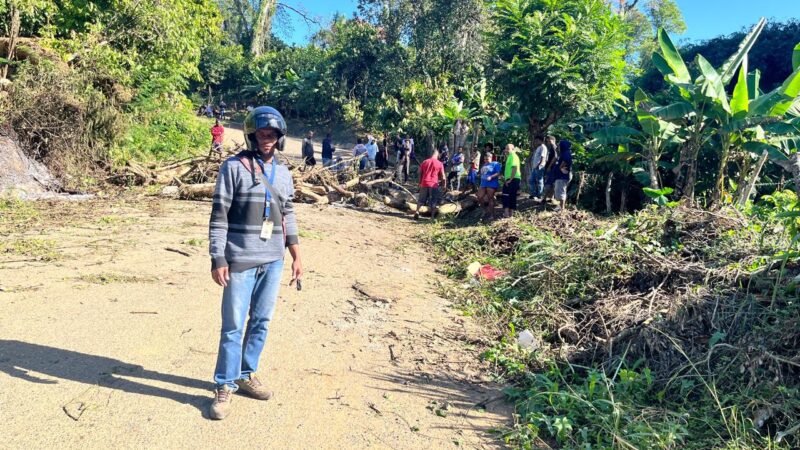 Edeeste informa interrupción del servicio eléctrico en Peralvillo se debe a corte de árboles por protesta de asfaltado