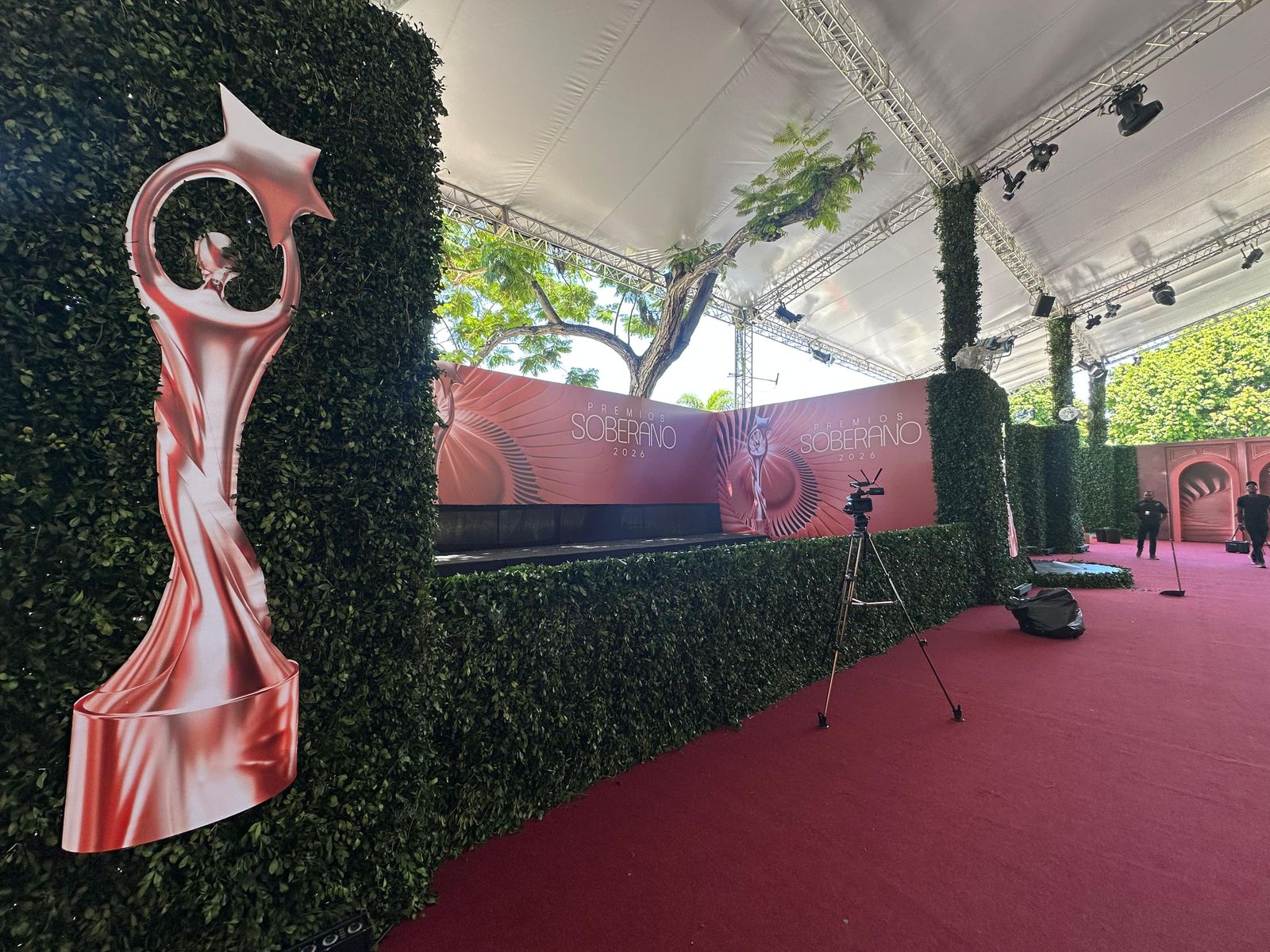 Opinión Invitada: Un llamado a Acroarte