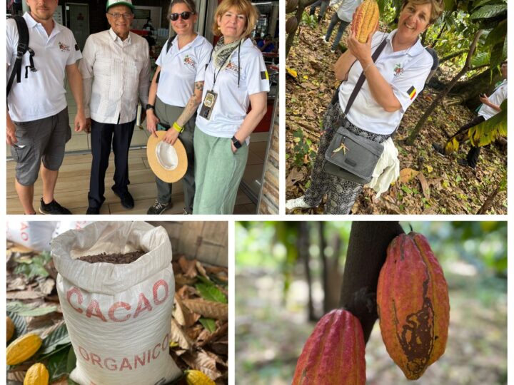 Sindicalistas belgas de visita en RD alzan su voz en defensa del trabajo digno en el sector cacaotero nacional