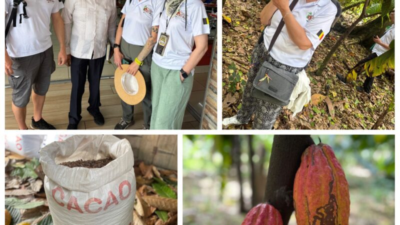 Sindicalistas belgas de visita en RD alzan su voz en defensa del trabajo digno en el sector cacaotero nacional