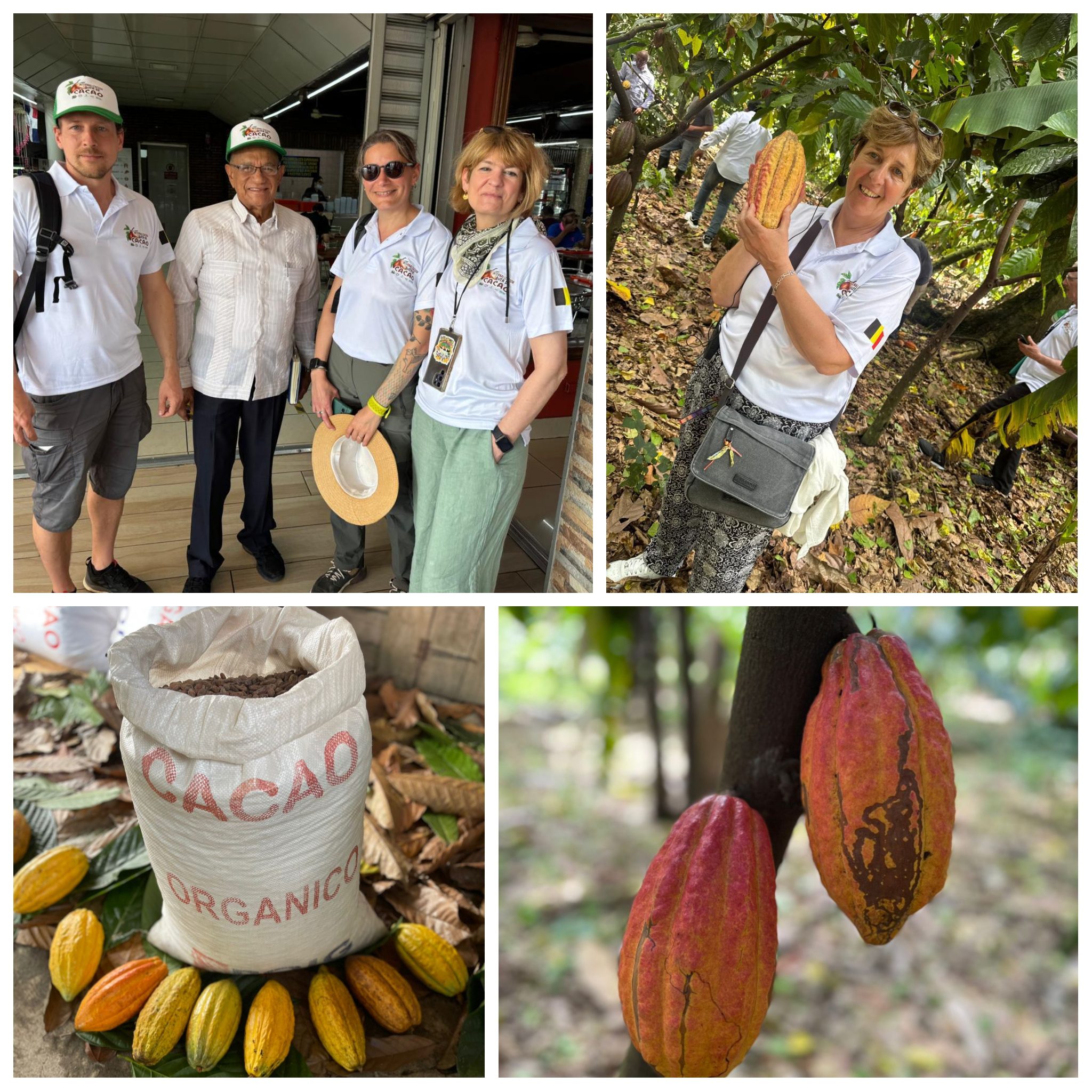 Sindicalistas belgas de visita en RD alzan su voz en defensa del trabajo digno en el sector cacaotero nacional