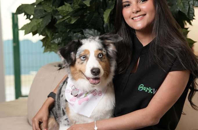 Especialistas llaman a fortalecer la alimentación de mascotas en República Dominicana