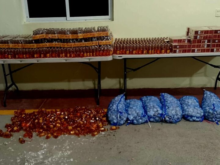 Ejército incauta contrabando transportado en mulos en zona fronteriza de Elías Piña