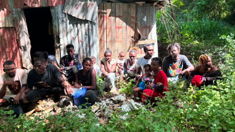 Soldados del Ejército detuvieron a 15 haitianos indocumentados ocultos en casucha utilizada como centro de acopio