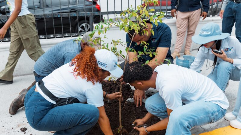 Alcaldía del DN celebra Día Mundial del Medio Ambiente con siembra de árboles y limpieza en playa Güibia