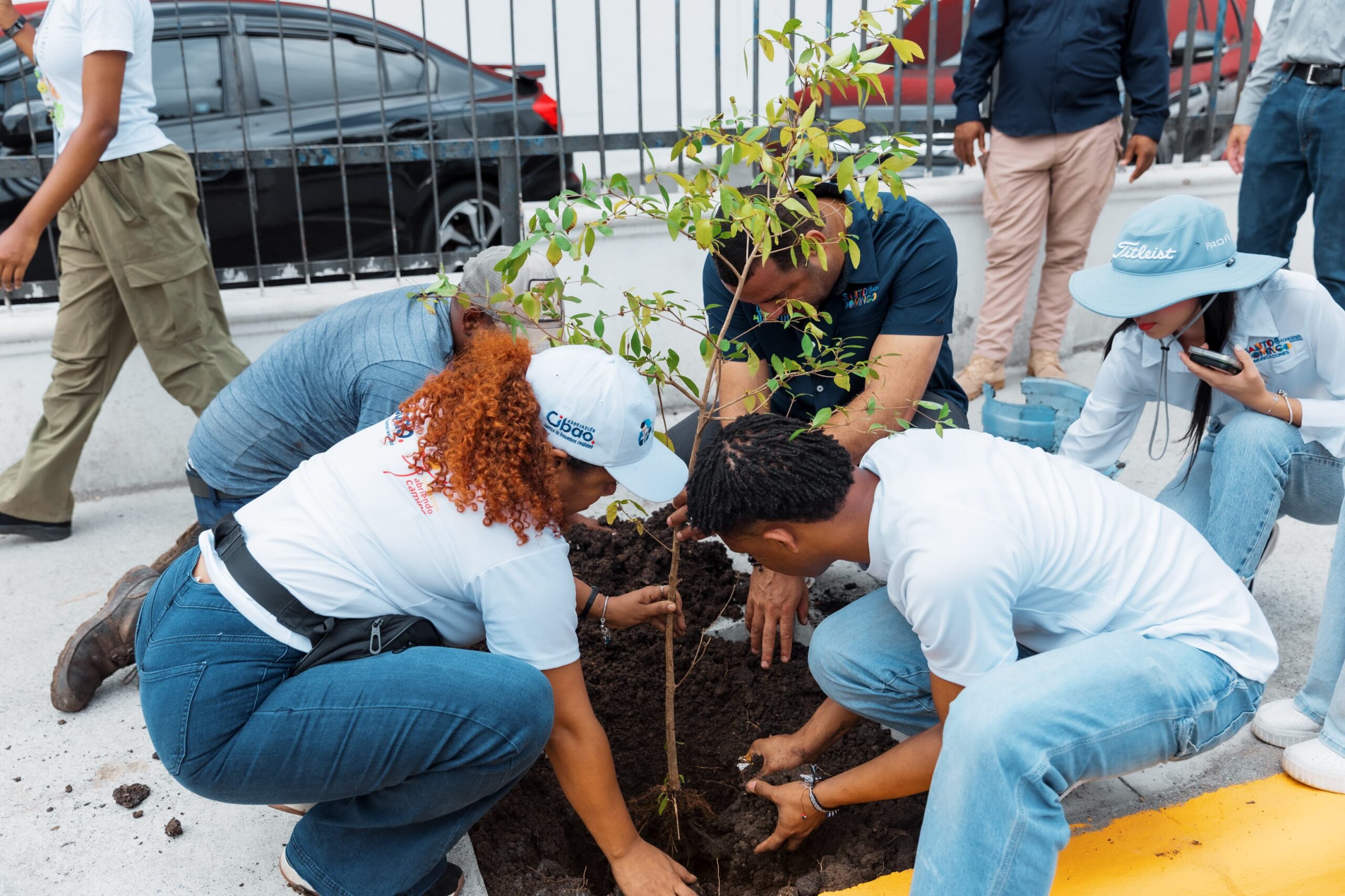 Alcaldía del DN celebra Día Mundial del Medio Ambiente con siembra de árboles y limpieza en playa Güibia