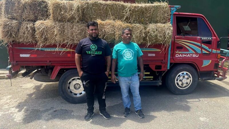 Ejército retiene camión cargado con 125 postes de cambrón ocultos entre pacas de paja sin permiso ambiental en Esperanza, Valverde