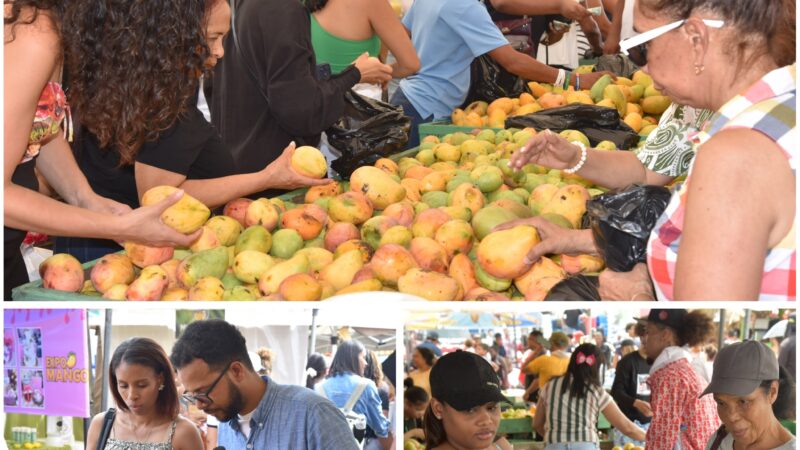 Expo Mango 2026 consolida su impacto en negocios, ventas, cultura y proyección internacional