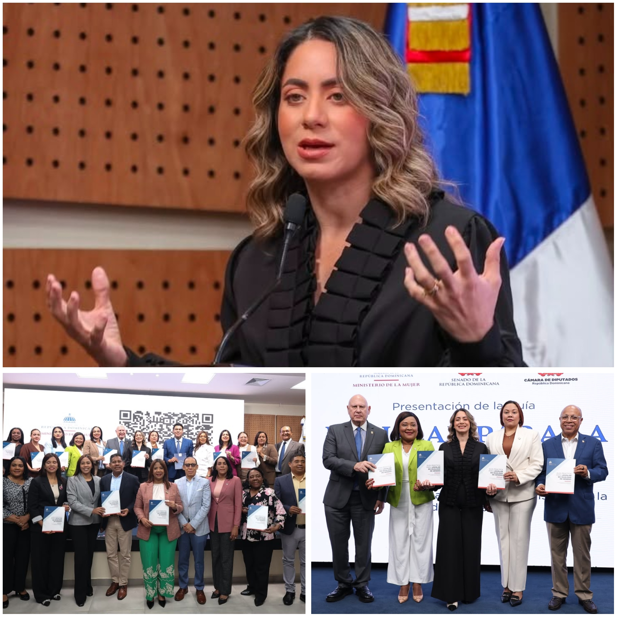 Ministerio de la Mujer promueve legislación con igualdad en Congreso Nacional