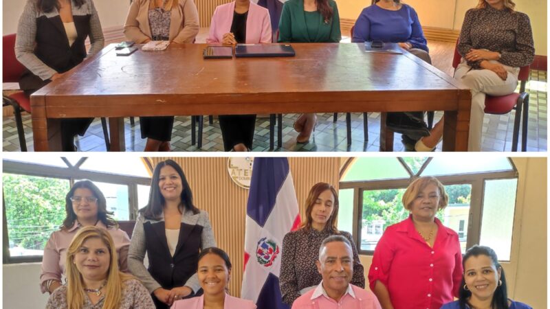 Voluntariado Interinstitucional presenta proyecto nacional para la celebración social de los 15 años de estudiantes meritorias de las 32 provincias del país