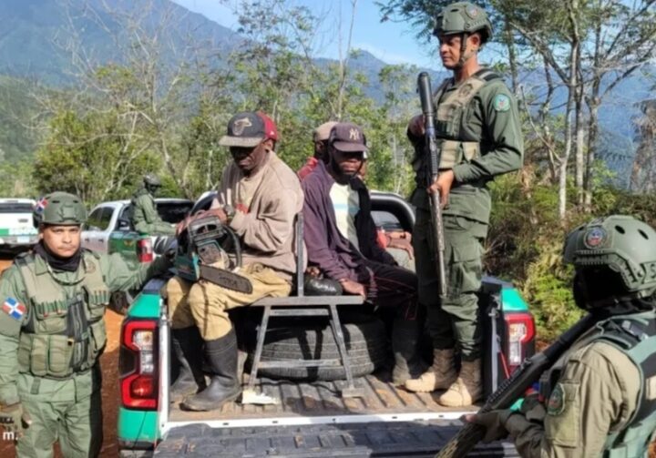 SENPA y Medio Ambiente intervienen el Parque Nacional J. Armando Bermúdez ante denuncias de tala ilegal