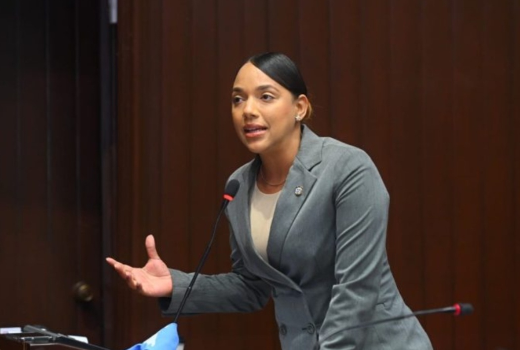 Diputada Tayluma Calderón propone construir una Ciudad de la Salud en Santo Domingo Este